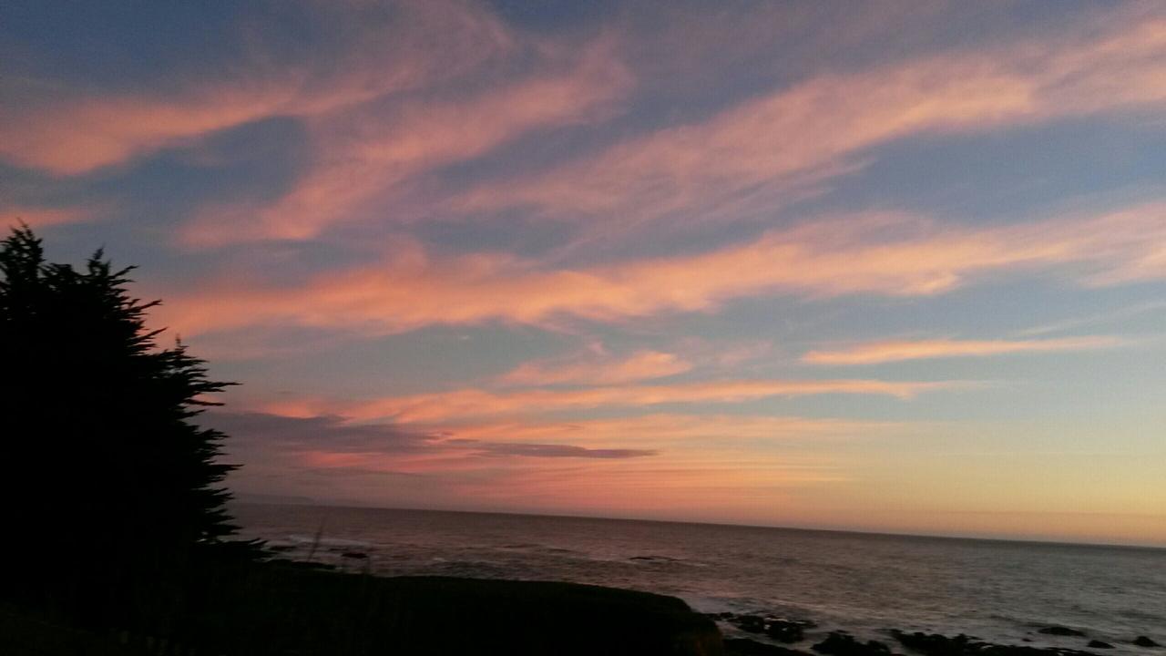 The Oceanfront Inn Shelter Cove ภายนอก รูปภาพ